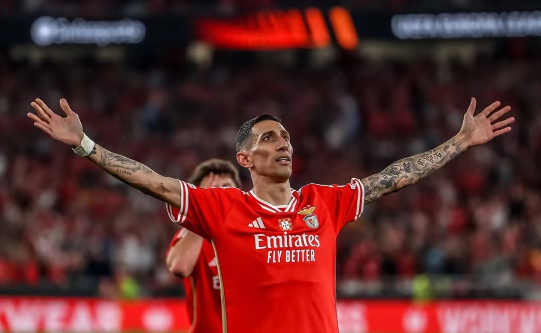 开云中国官方网站包含今夜突围战来临，本菲卡围绕NBA季后赛完成体检，压力陡增，年轻球员得到机会的词条